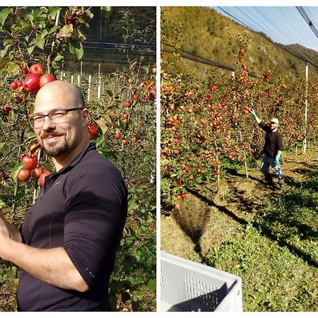 Agriturismo Pian Dei Tass Barcis Ngoại thất bức ảnh