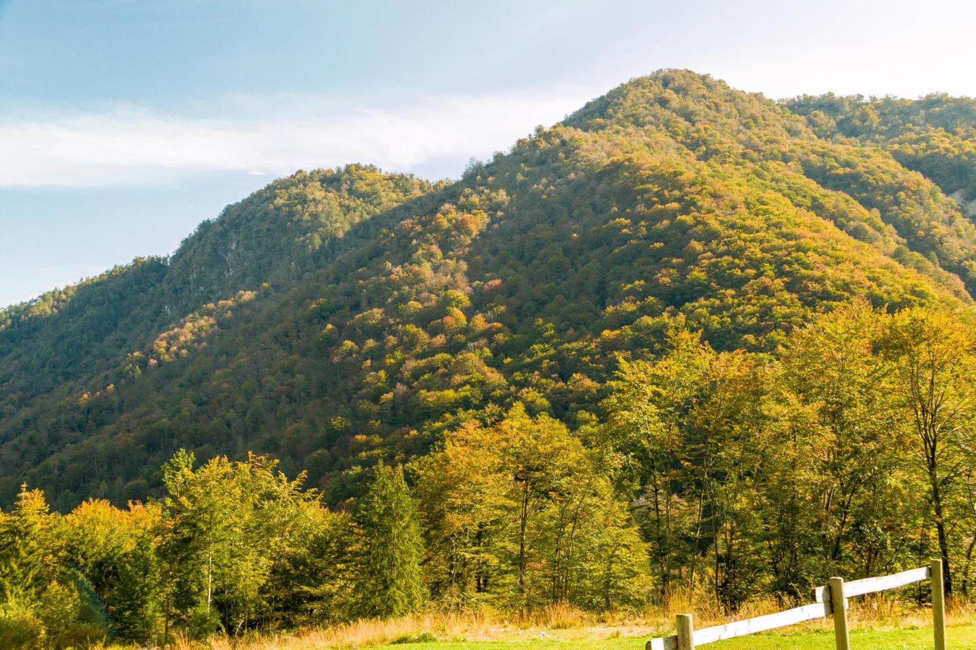 Agriturismo Pian Dei Tass Barcis Ngoại thất bức ảnh