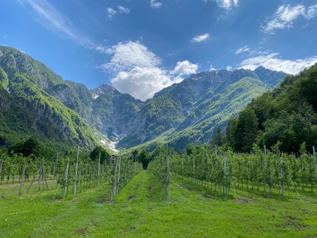 Agriturismo Pian Dei Tass Barcis Ngoại thất bức ảnh
