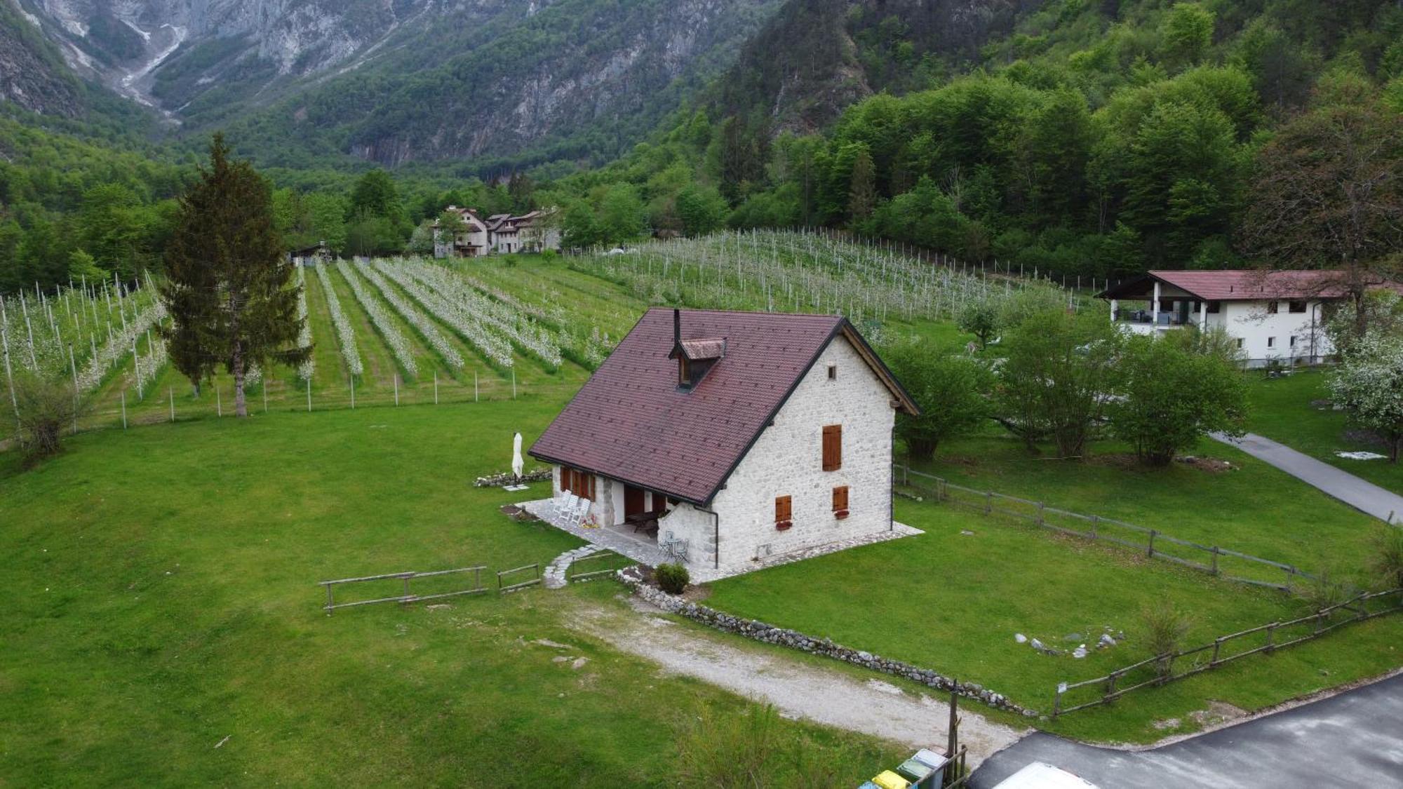 Agriturismo Pian Dei Tass Barcis Ngoại thất bức ảnh