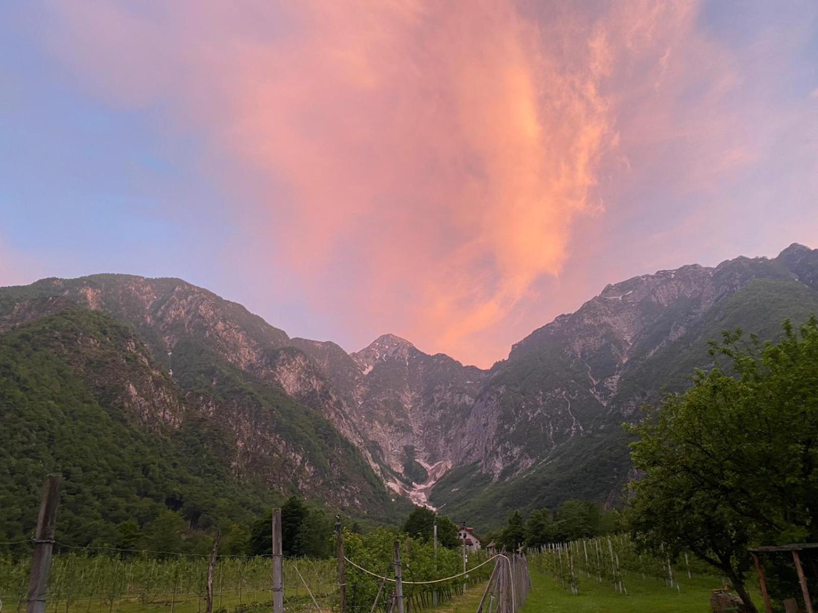 Agriturismo Pian Dei Tass Barcis Ngoại thất bức ảnh