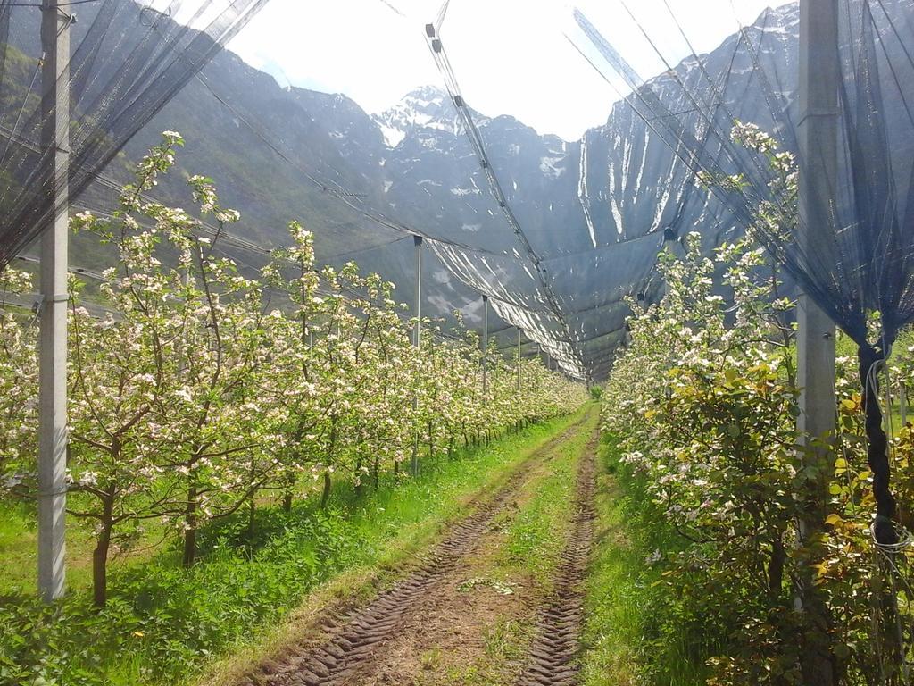 Agriturismo Pian Dei Tass Barcis Ngoại thất bức ảnh